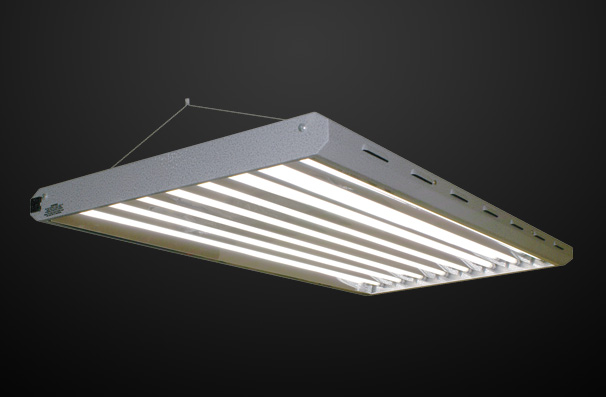 Pro Light