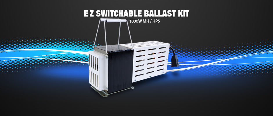 EZ Switchable Ballast