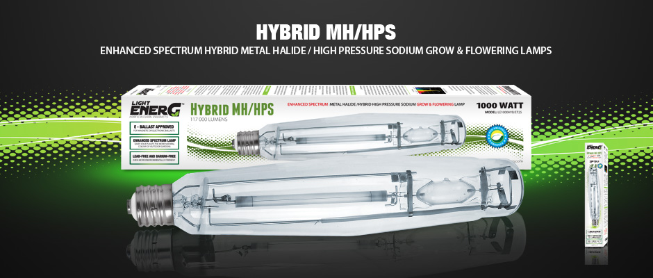Hybrid