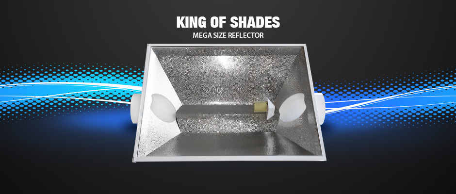 King of Shades